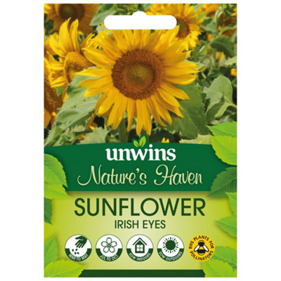 plants that grow on trellis 15 Trellis Climbing Favorites