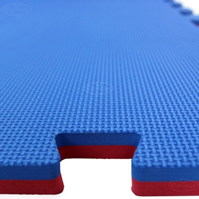 Martial Arts Karate Judo Kick Boxing Gym MMA 20mm in Red Blue Floor Mat