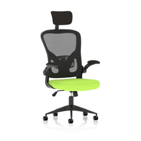 Masino Executive Bespoke Fabric Seat Myrrh Green Mesh Chair With Folding Arms