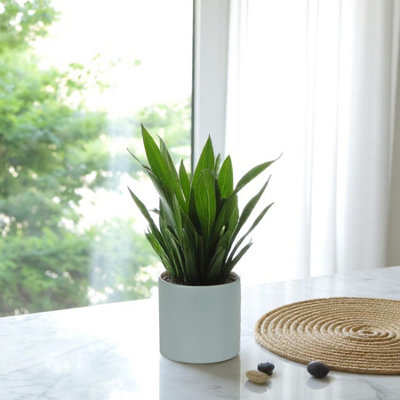 Matte Grey Ceramic Indoor Planter, Cachepot - H13 x W13.5cm
