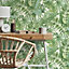 Maui Leaf Wallpaper Green Fine Decor FD42850