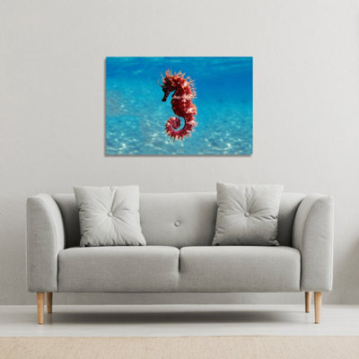 Mediterranean Seahorse (Canvas Print) / 101 x 77 x 4cm