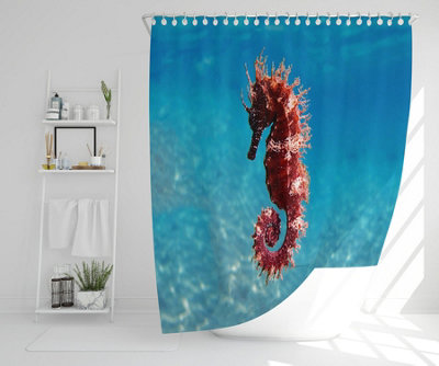 Mediterranean Seahorse (Shower Curtain) / Default Title Price Comparisons | Compare The Build