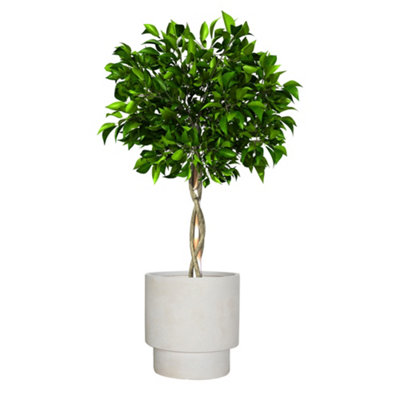Medium Beige Fibre Clay Indoor Outdoor Flower Plant Pot Houseplant Garden Planter