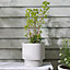 Medium Beige Fibre Clay Indoor Outdoor Garden Planter Houseplant Flower Plant Pot