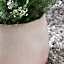 Medium Beige Symmetry Stripe Beige Fibre Clay Indoor Outdoor Garden Planter Houseplant Flower Plant Pot