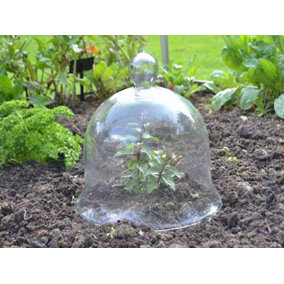 Medium Bell Jar Cloche - Glass - L25 x W25 x H25 cm