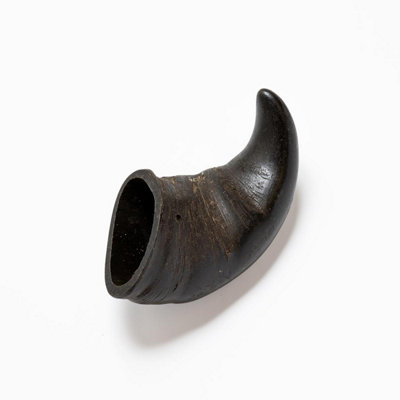 Medium Buffalo Horns (1pc) Long Lasting Dental Dog Treat Price Comparisons | Compare The Build