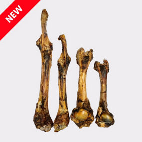 Medium Venison (Deer) Bones (1pc) Long Lasting Dog Treats