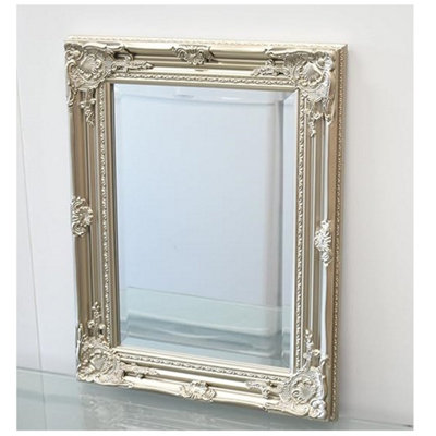 Medium Vintage champagne Ornate Leaner Wall Hanging Mirror Deep Frame Flowery