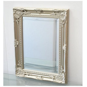 Medium Vintage Silver Ornate Leaner Wall Hanging Mirror Deep Frame Flowery