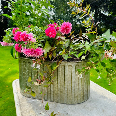 Melody Maison Large Rustic Metal Bucket Planter Pot