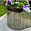 Melody Maison Small Rustic Metal Bucket Planter Pot