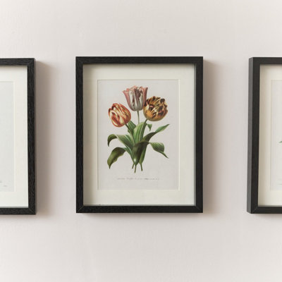 Melody Maison Vintage Red Tulip Flower Framed Wall Print 20cm x 25cm