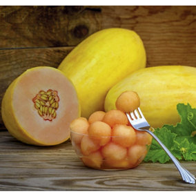 Melon Mangomel F1 1 Seed Packet