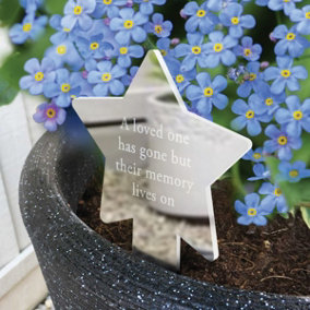 Memorial Star Plant Marker With Forget-Me-Not Seeds