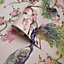 Menali Peacock Wallpaper Pink Holden 35923