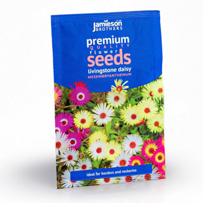 Mesembryanthemum Livingstone Daisy Flower Seeds (Approx. 1600 seeds) by Jamieson Brothers