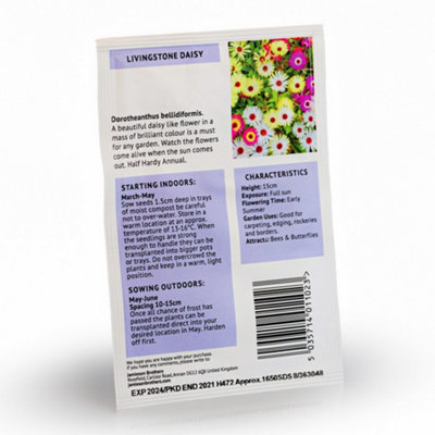 Mesembryanthemum Livingstone Daisy Flower Seeds (Approx. 1600 seeds) by Jamieson Brothers - 7