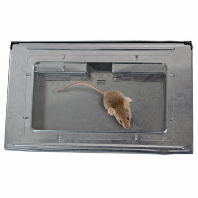Metal Mouse Trap - Humane Multi Reusable Bait Pest Control