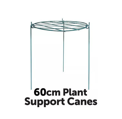 Metal Plant Support Rings for Climbing Plants Garden Plant Flower Support Stakes 60cm