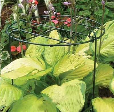 Metal Plant Support Rings for Climbing Plants Garden Plant Flower ...