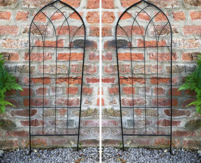 Metal Wire Black Trellises Support Frame for Climbing Flowers and Plants Set of 2