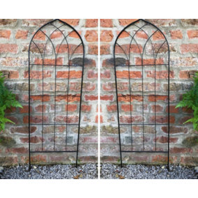 Metal Wire Black Trellises Support Frame for Climbing Flowers and Plants Set of 2