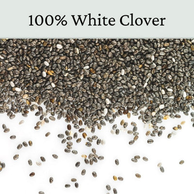 Micro Clover Seed for Lawn UK - 100% Small Leaf White Clover - Over Seeding or New Areas - 1kg Pack Covers 100-200m² - 6