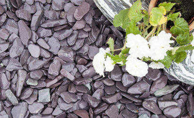 Midnight Blue Slate Chippings 40mm - 25 Bags (500kg)