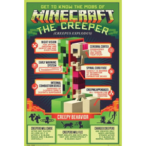 Minecraft Creepy Behaviour 61 x 91.5cm Maxi Poster