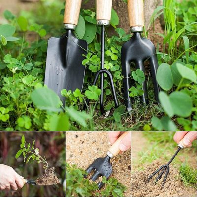 Mini Garden Tools Set of 3 Succulent Plants Tools Wood Handle  RakeTransplanting for Seedlings Terrariums and