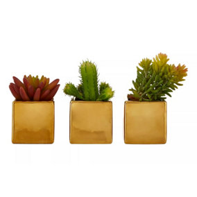 Mini Succulents Fiori with Gold Pot - Set of 3 Artificial Plant Foliage