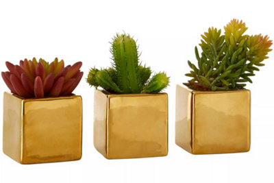 Mini Succulents Fiori with Gold Pot - Set of 3 Artificial Plant Foliage