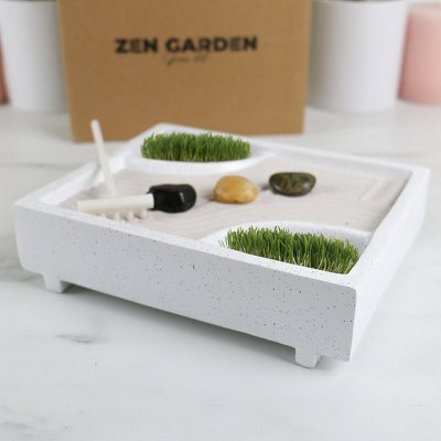 Mini Zen Garden Indoor Growing Kit