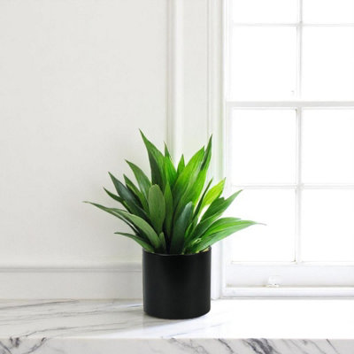 Minimalist Matte Black Ceramic Indoor Plant Cachepot Pot - (H13 x W13.5cm)