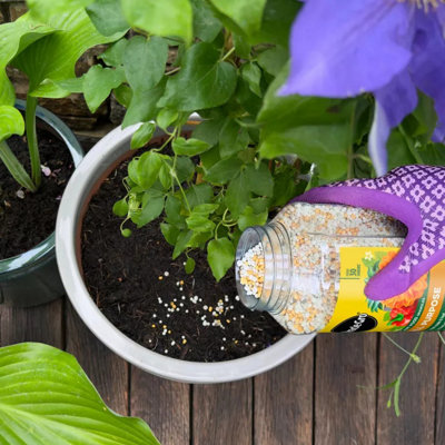 Miracle-Gro All Purpose Continuous Release Plant Food 900g Feeds Plants ...