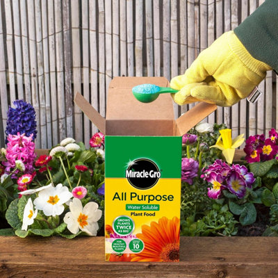 Miracle Gro All Purpose Plant Food 1kg Water Soluble Feed for Bigger ...