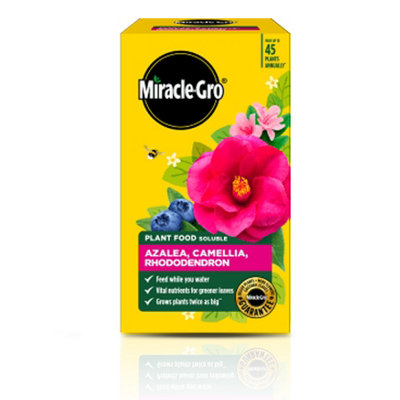 Miracle-Gro Azalea Camellia Rhododendron Soluble Plant Food 1kg Fast ...