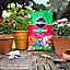 Miracle-Gro Compost Rose Tree & Shrub Peat Free Potting Soil 20L