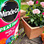 Miracle-Gro Compost Rose Tree & Shrub Peat Free Potting Soil 20L