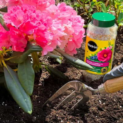 Miracle Gro Ericaceous Plant Food Granules 900g for Azalea