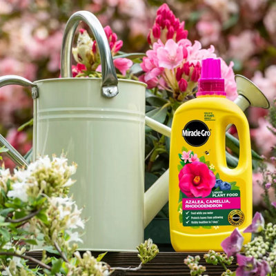 Miracle-Gro Liquid Ericaceous Plant Food 800ml for Azalea Camellia