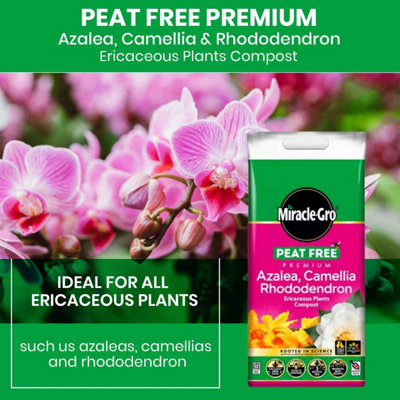 Miracle-Gro Peat Free Azalea, Camellia & Rhododendron Compost 10L Ideal  Soil Mix for Acid-Loving
