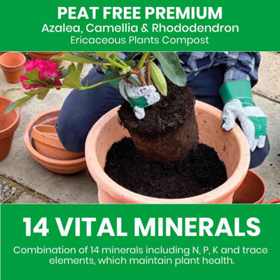 Miracle-Gro Peat Free Azalea, Camellia & Rhododendron Compost 10L Ideal Soil  Mix for Acid-Loving