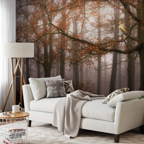 Misty Autumn Forest Mural - 384x260cm - 5450-8