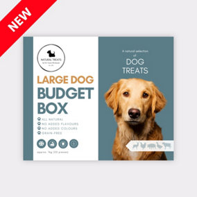 Mixed Treats Budget Box for Large Dogs