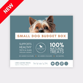 Mixed Treats Budget Box for Small Dogs
