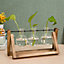 Modern 3pcs Desktop Hydroponic Plants Bulb Glass Terrariums with Wood Stand Set