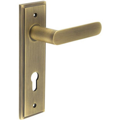 Modern Antique Brass Door Handle with Euro Backplate - Solid Brass Interior Handle
